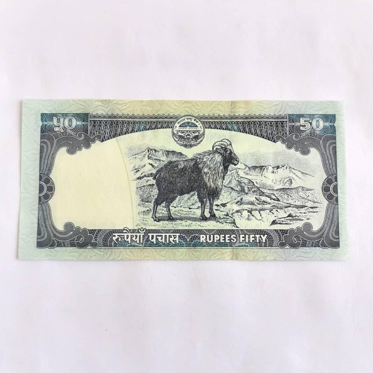 各国外币第105期 无佣金 尼泊尔50卢比 2008年全新