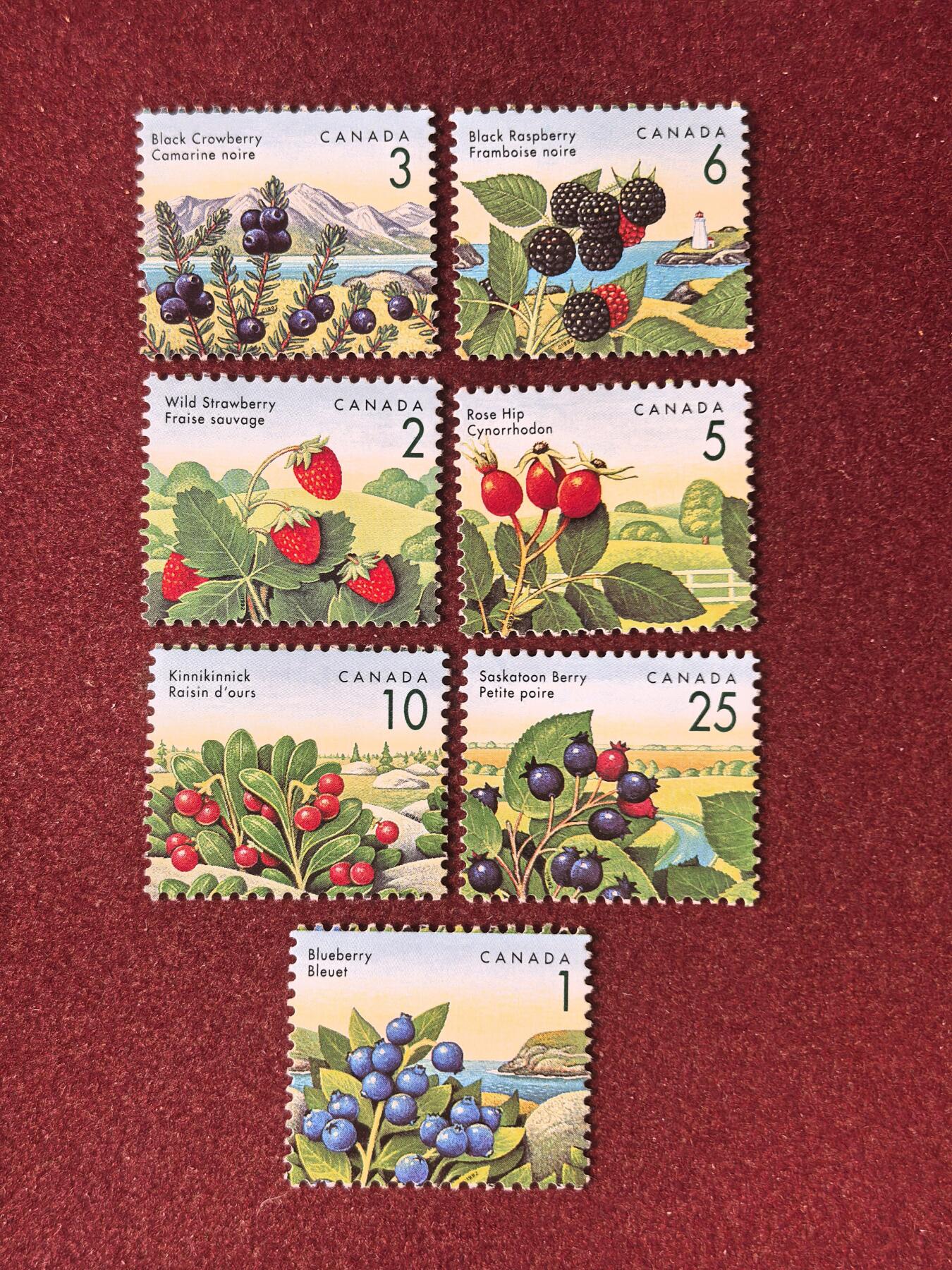 联合阁邮币社™ ——“多国邮票”👍🏻👏🏻👍🏻👏🏻