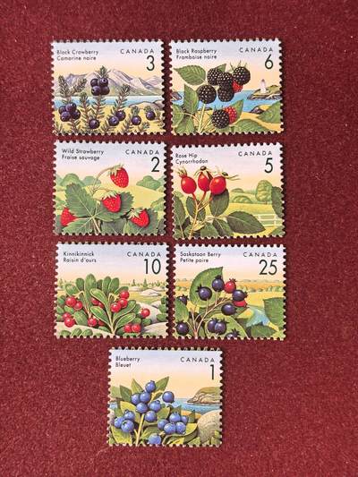 联合阁邮币社™ ——“多国邮票”👍🏻👏🏻👍🏻👏🏻 - 加拿大 果实 全套新