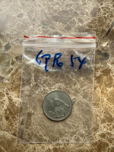 四海杂货铺第二十一场 - 印度尼西亚