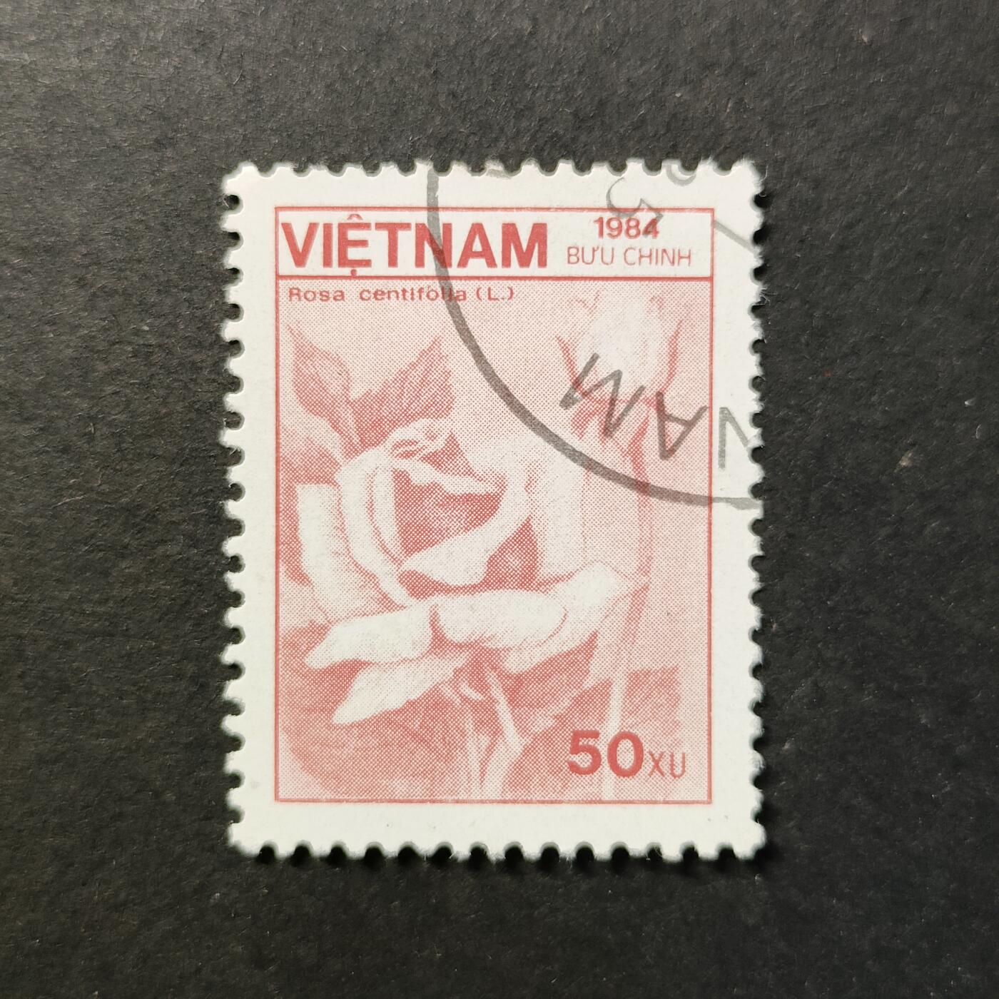 嘉禾收藏    【第419期】            无佣金、可寄存、满30元包邮 邮票一枚