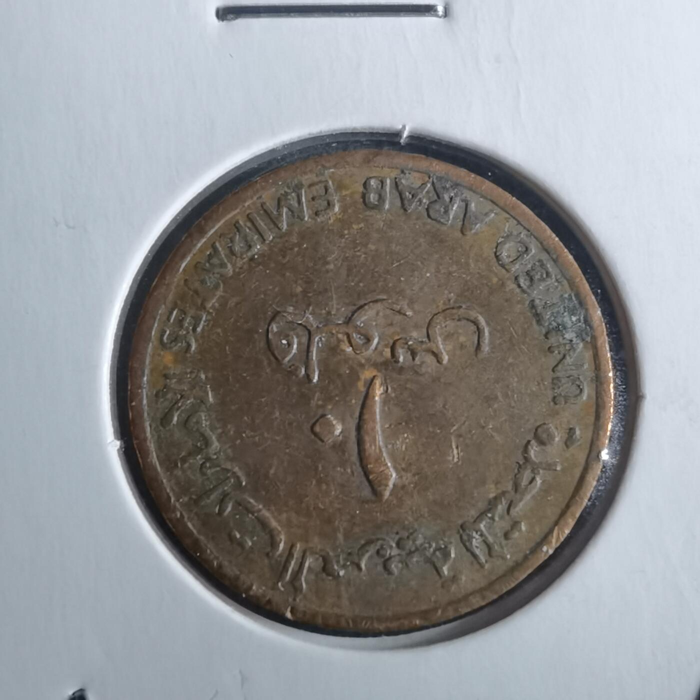 沼泽如烟--第946场