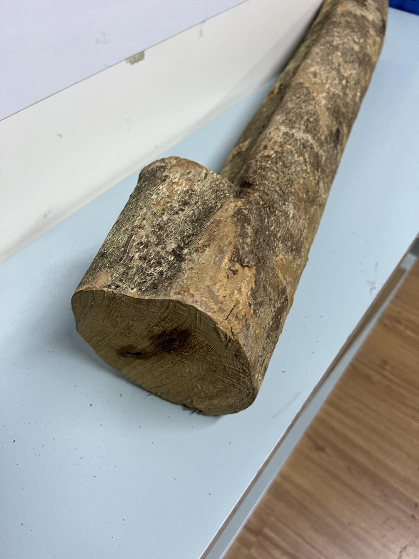 零元拍： 1225-2金丝楠 原木 风水柱 横财（材）带皮， 尺寸：67/9.5/19/14.5CM。抛光后金灿灿满香。最后图为成品效果