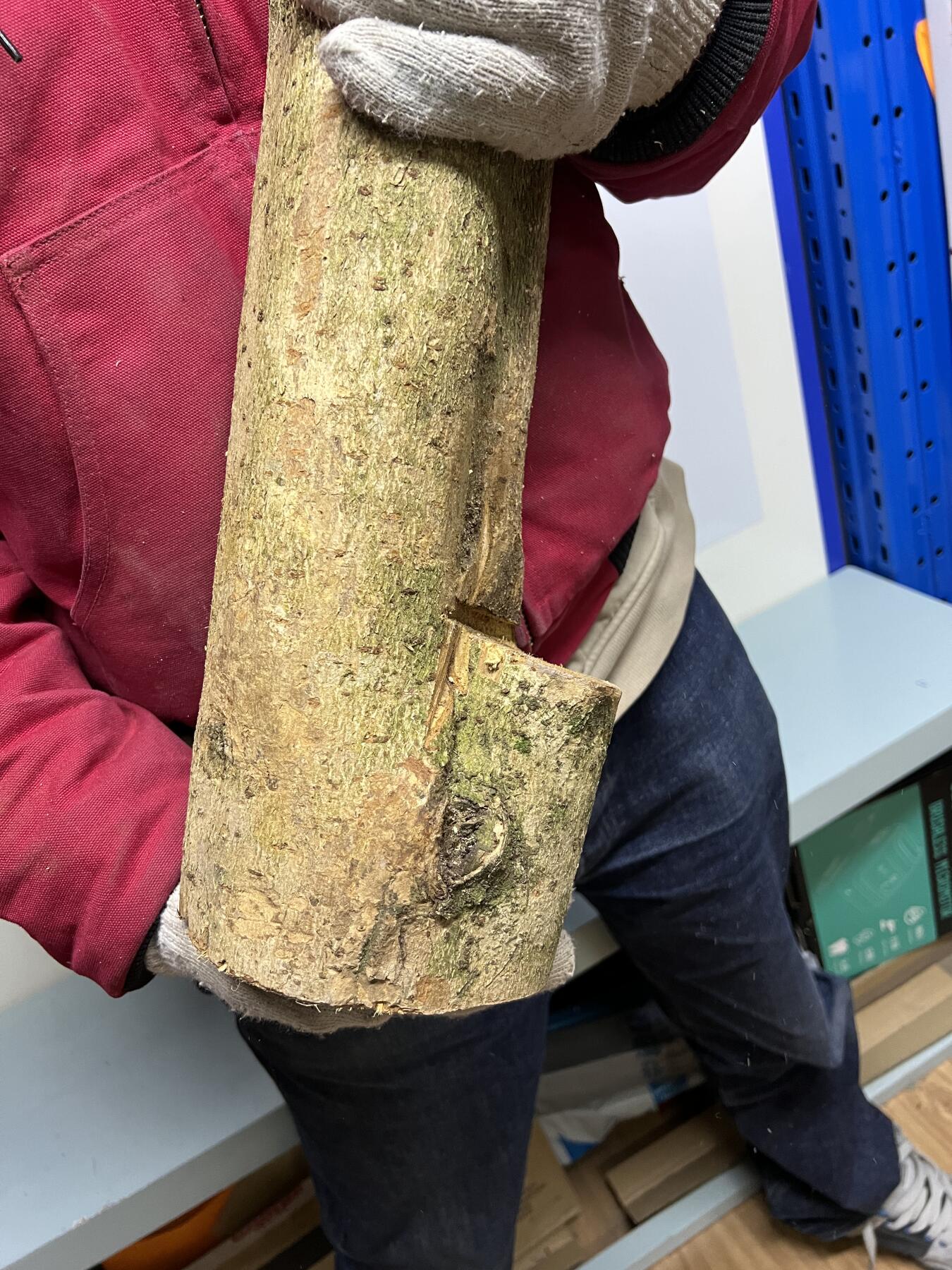 零元拍： 1225-2金丝楠 原木 风水柱 横财（材）带皮， 尺寸：67/9.5/19/14.5CM。抛光后金灿灿满香。最后图为成品效果