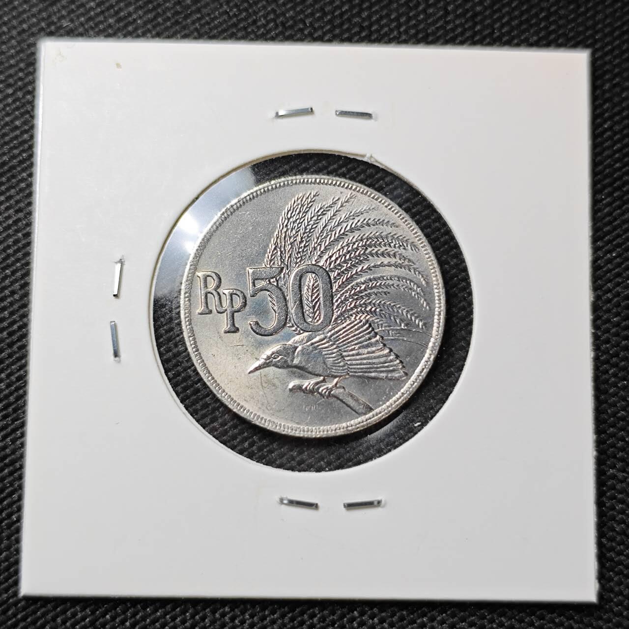 KK钱币收藏小铺 第375期  2月预留时间 周末发货