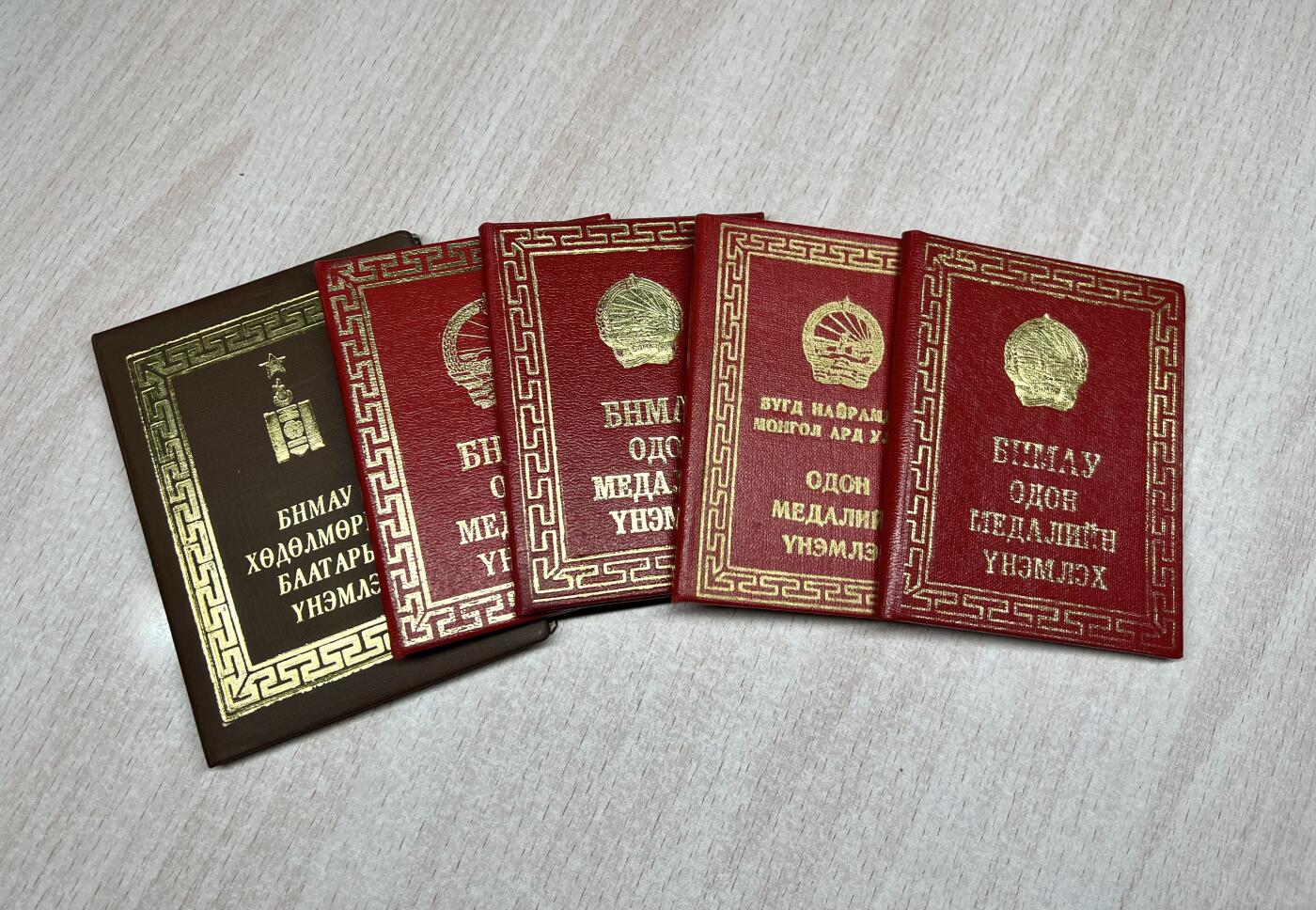 大猫徽章拍卖第285期