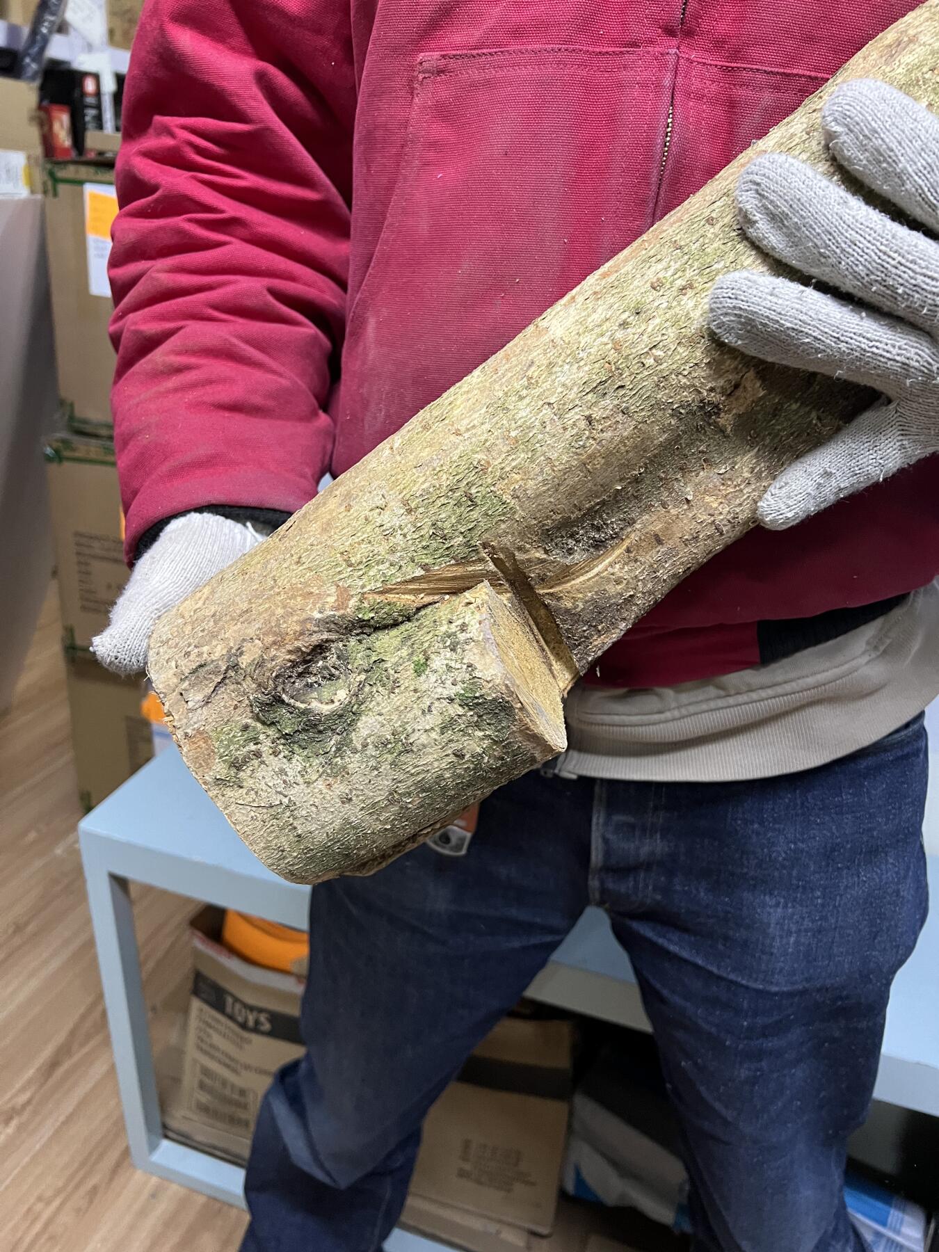 零元拍： 1225-2金丝楠 原木 风水柱 横财（材）带皮， 尺寸：67/9.5/19/14.5CM。抛光后金灿灿满香。最后图为成品效果