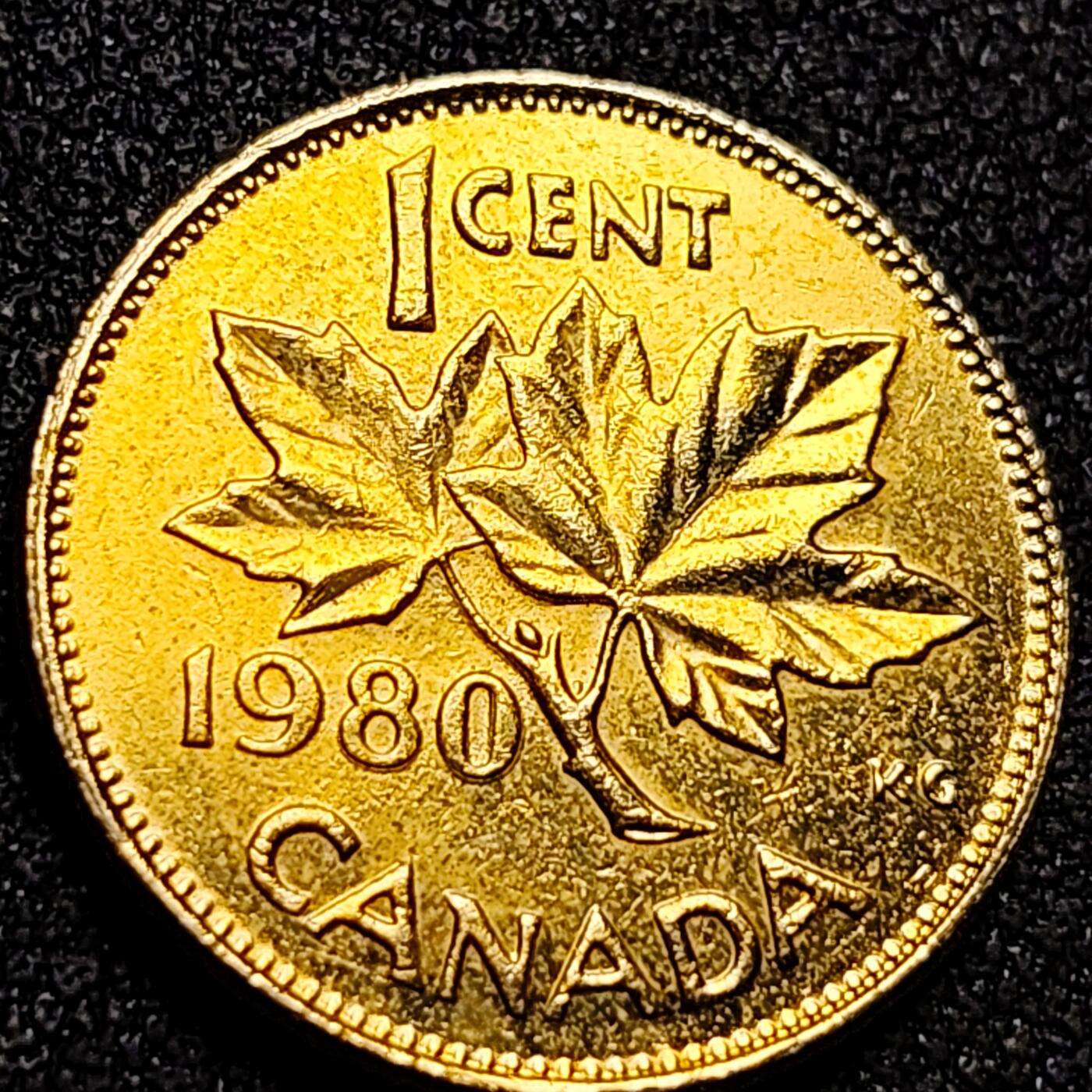 泉币菌-第155场-精品福利场 。