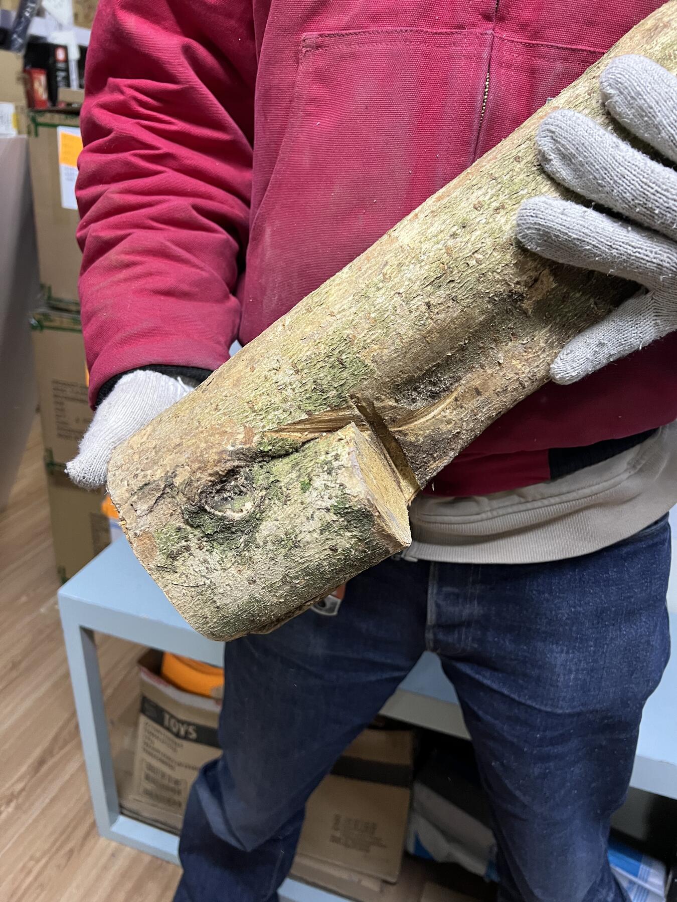 零元拍： 1225-2金丝楠 原木 风水柱 横财（材）带皮， 尺寸：67/9.5/19/14.5CM。抛光后金灿灿满香。最后图为成品效果