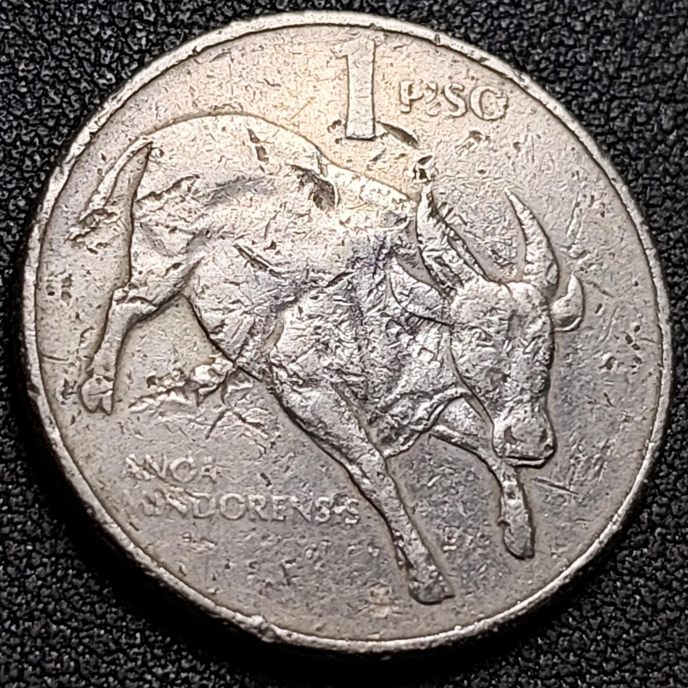 泉币菌-第155场-精品福利场 。