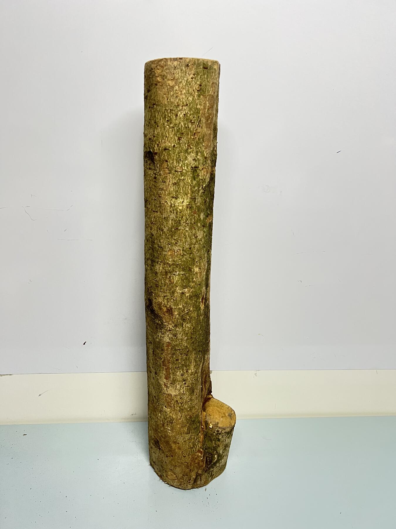 零元拍： 1225-2金丝楠 原木 风水柱 横财（材）带皮， 尺寸：67/9.5/19/14.5CM。抛光后金灿灿满香。最后图为成品效果