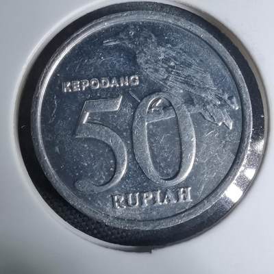 沼泽如烟--第945场 - 印度尼西亚1999年五十卢比