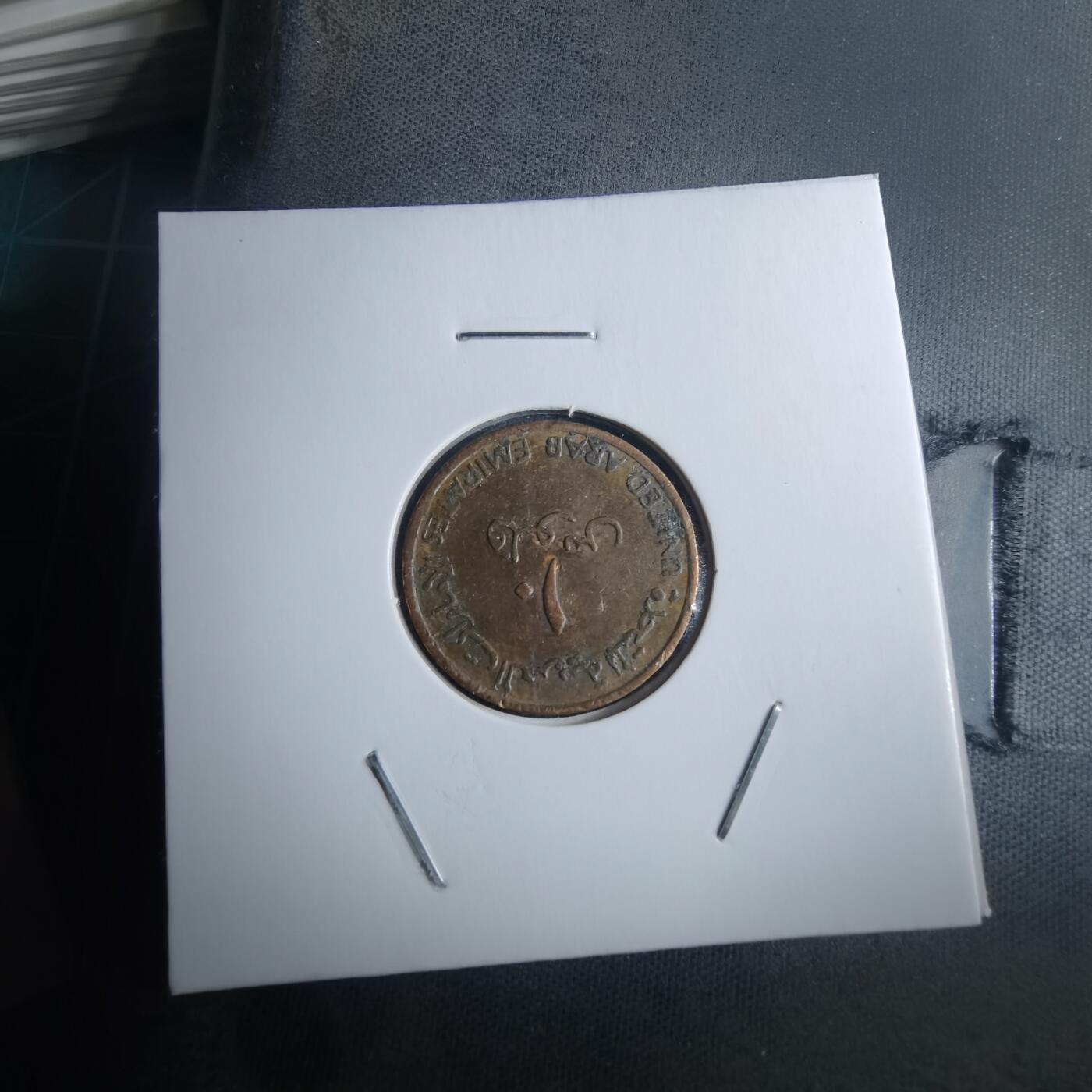 沼泽如烟--第946场