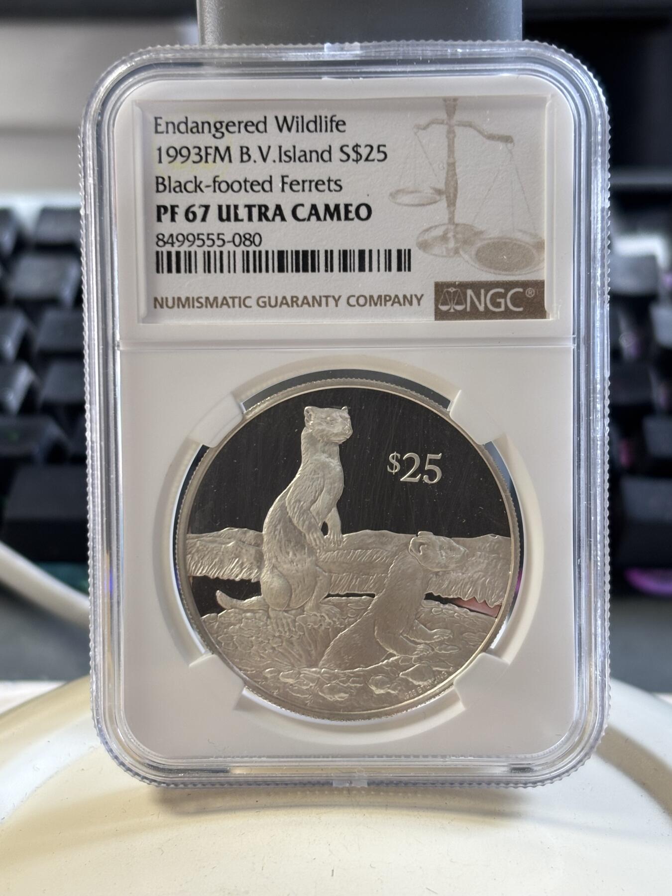 第186期拍卖 维尔京1993年动物黑脚雪貂21.59克银币NGC-PF67,925银