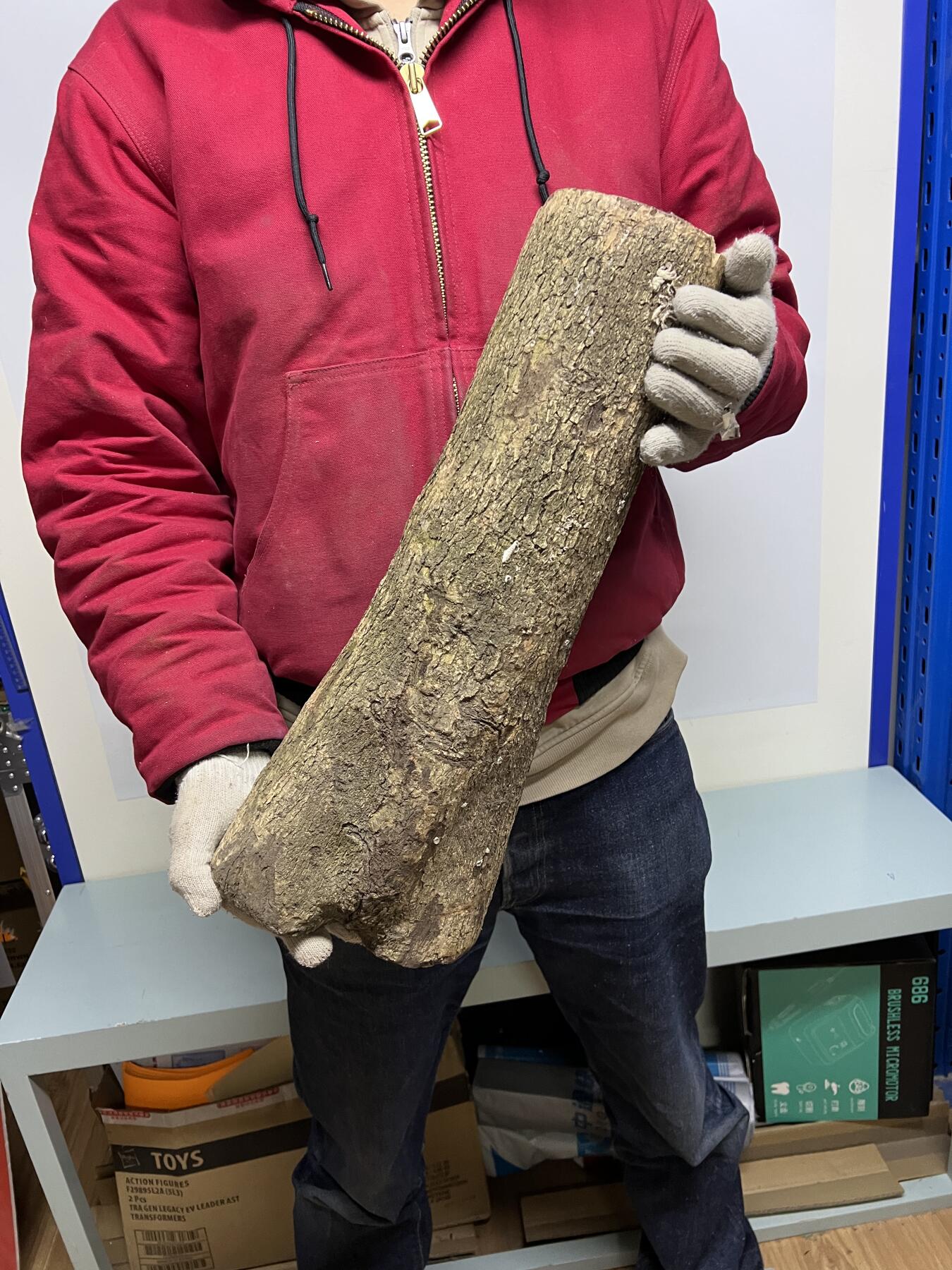 零元拍： 1225-1 金丝楠 原木 风水柱 横财（材）带皮， 尺寸：46.5/11.5/19/10.5/CM。