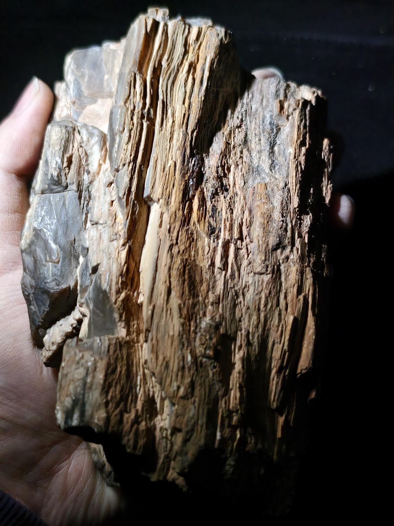 99期回流戒指饰品杂件纪念章丝路钱币专场 新疆观赏石