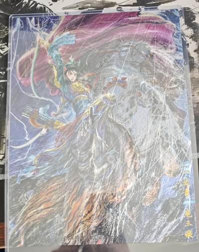 NO.19 好又多金牌大场，新店点关注不迷路！每周一站式配齐，方便凑单！（周6晚8点截拍，卖家送拍0抽成！） - 昆仑万象 权迎东 冷雨夜扈三娘 A4粗闪大卡