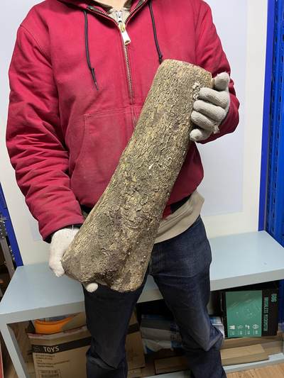 零元拍： 1225-1 金丝楠 原木 风水柱 横财（材）带皮， 尺寸：46.5/11.5/19/10.5/CM。 - 零元拍： 1225-1 金丝楠 原木 风水柱 横财（材）带皮， 尺寸：46.5/11.5/19/10.5/CM。