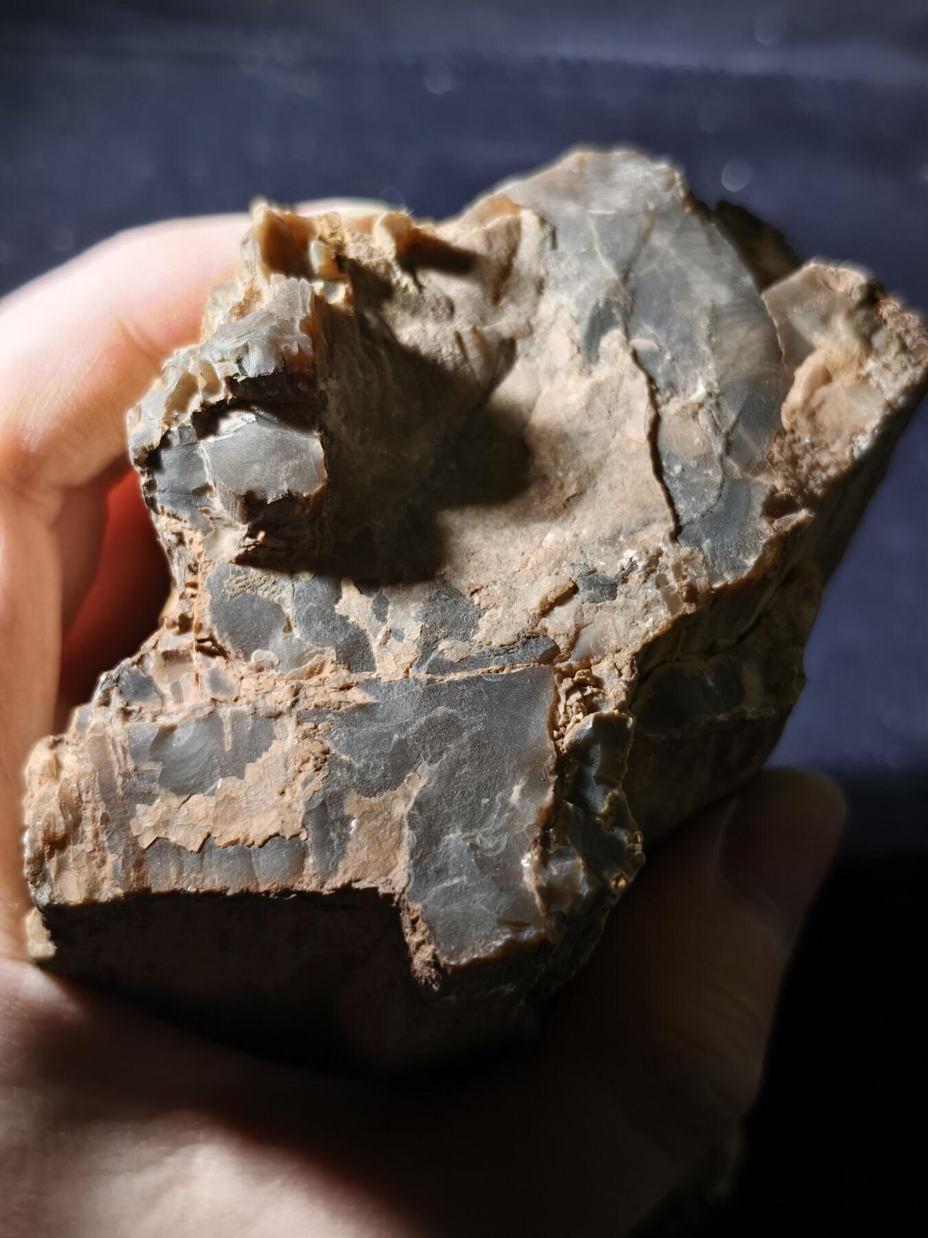 99期回流戒指饰品杂件纪念章丝路钱币专场 新疆观赏石