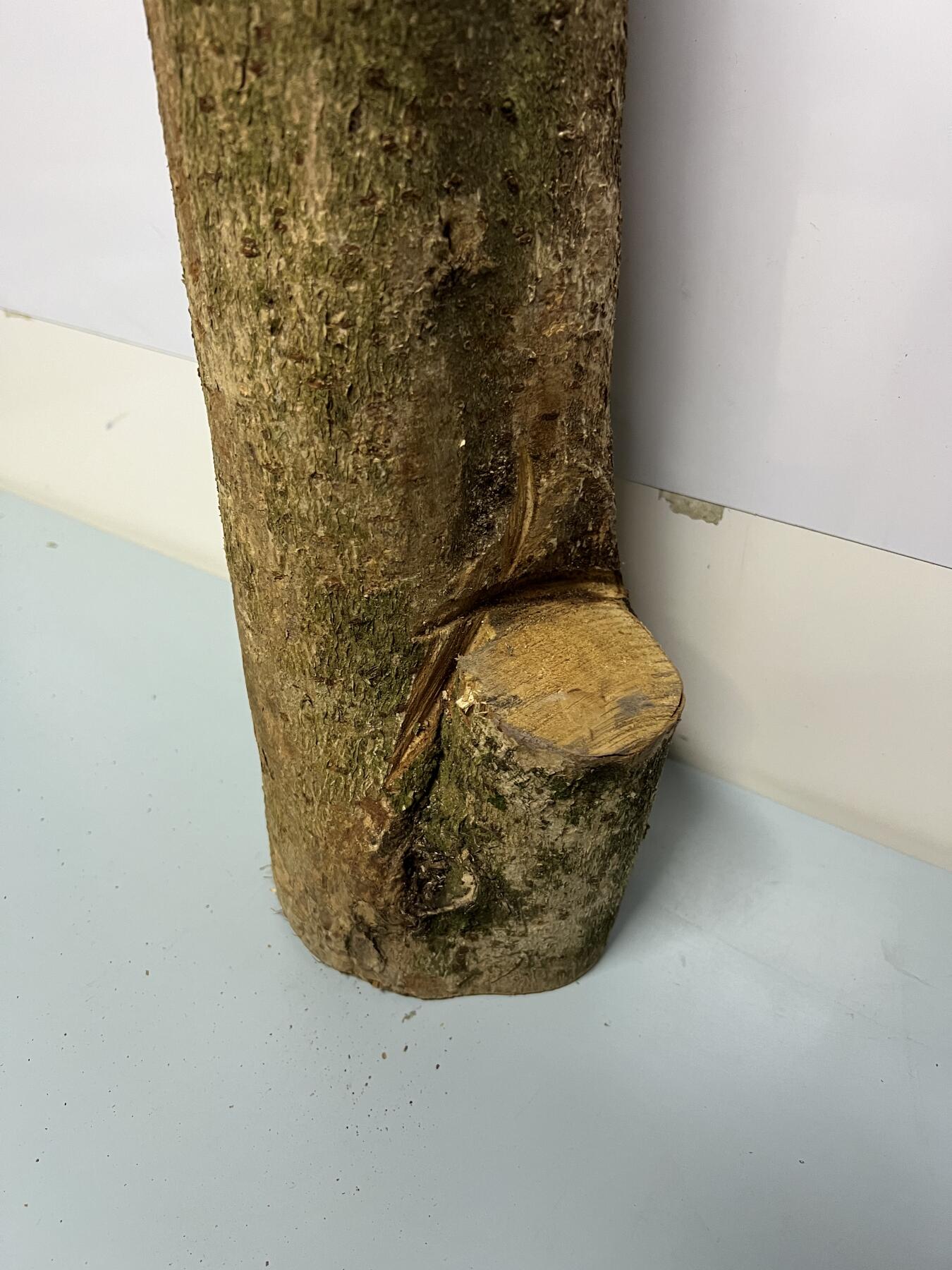 零元拍： 1225-2金丝楠 原木 风水柱 横财（材）带皮， 尺寸：67/9.5/19/14.5CM。抛光后金灿灿满香。最后图为成品效果