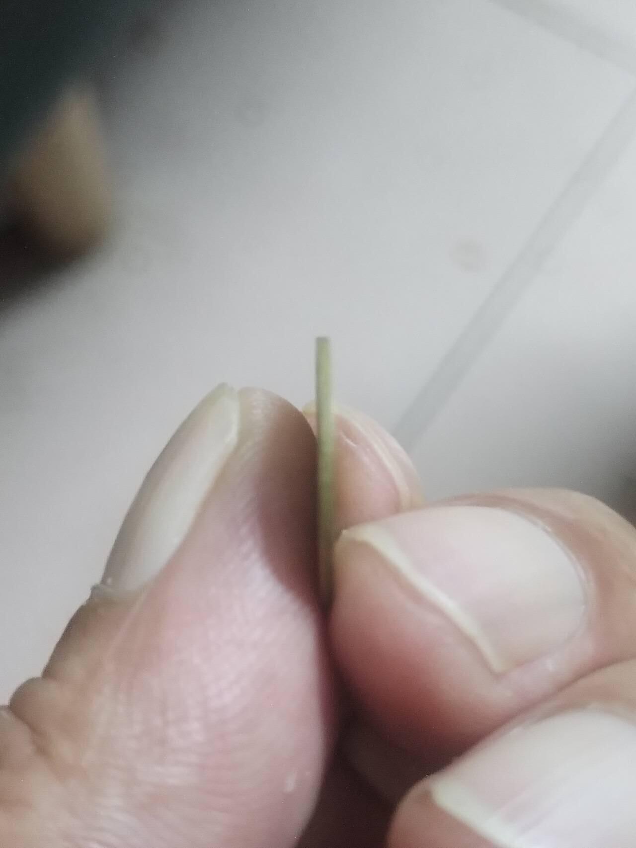 湖北省造 光绪一文。