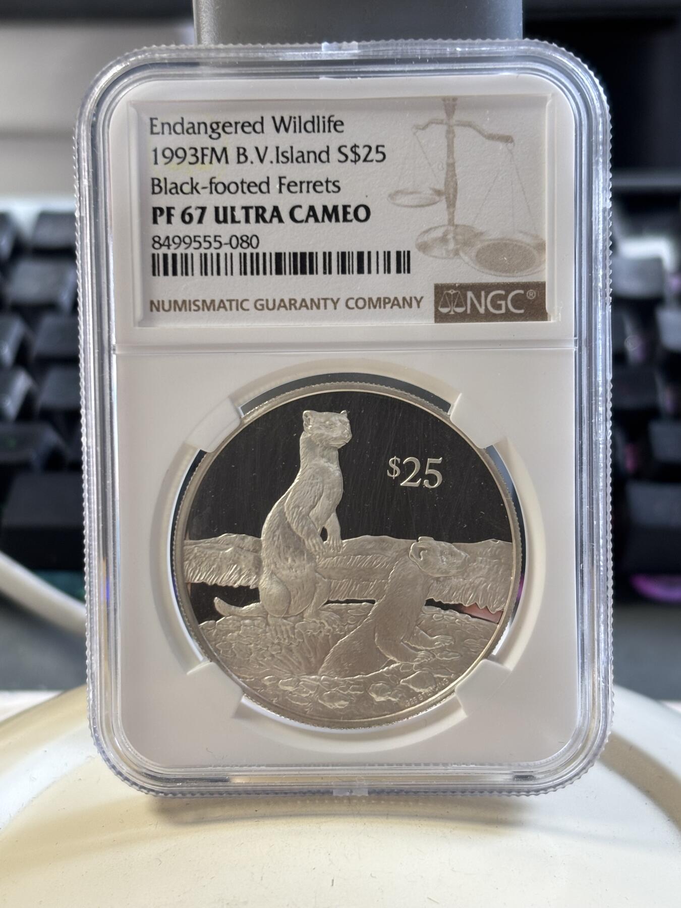 第186期拍卖 维尔京1993年动物黑脚雪貂21.59克银币NGC-PF67,925银