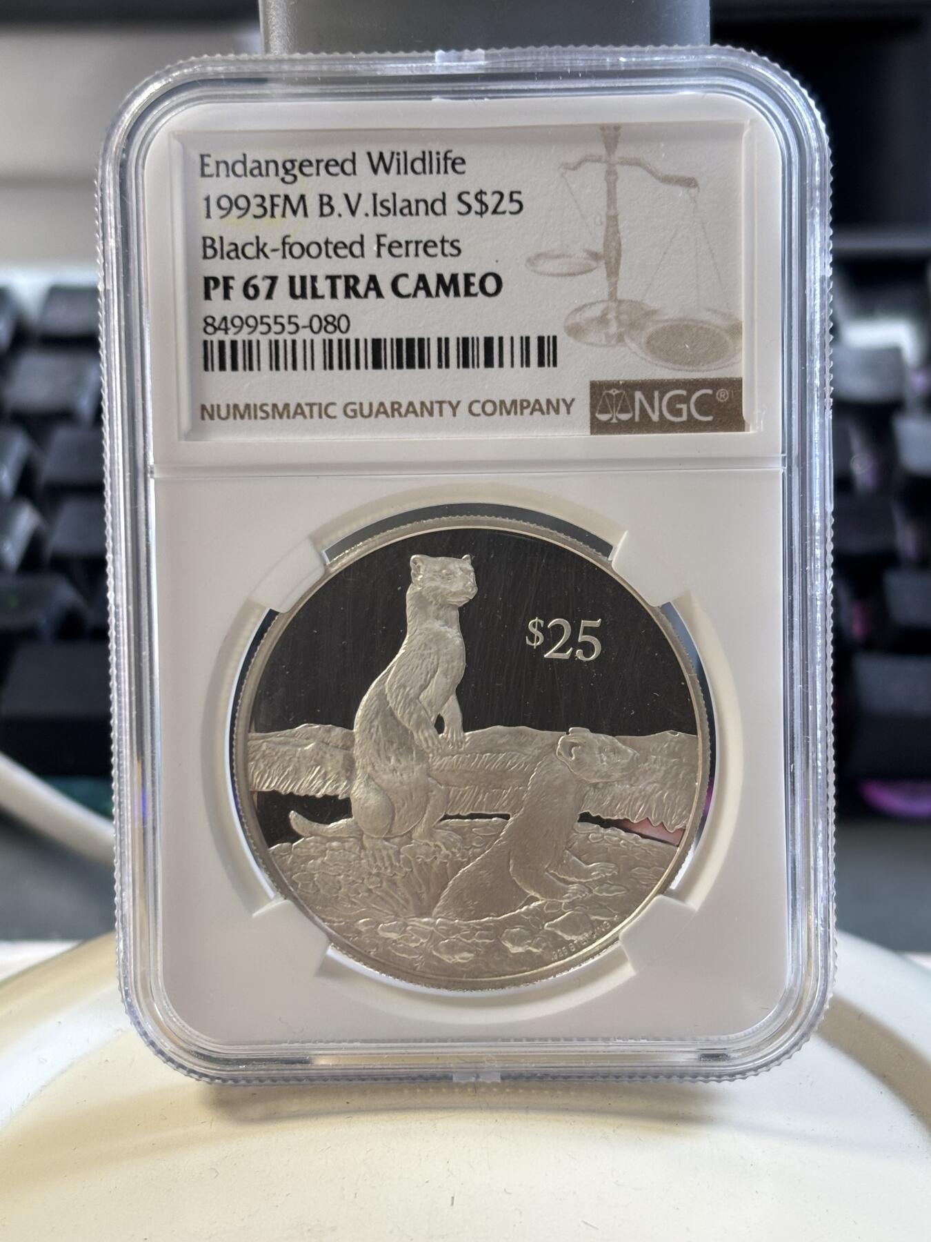 第186期拍卖 维尔京1993年动物黑脚雪貂21.59克银币NGC-PF67,925银