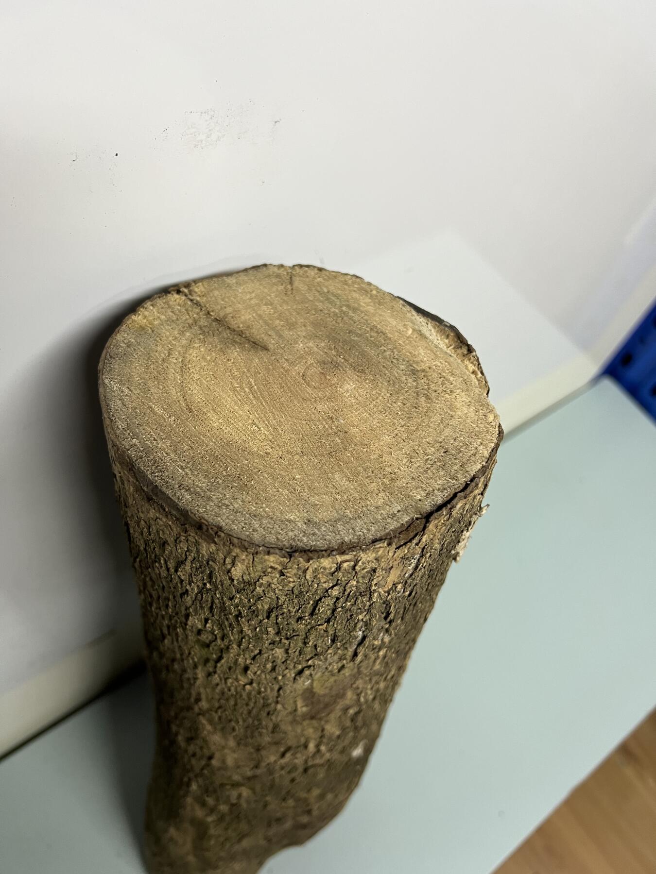 零元拍： 1225-1 金丝楠 原木 风水柱 横财（材）带皮， 尺寸：46.5/11.5/19/10.5/CM。