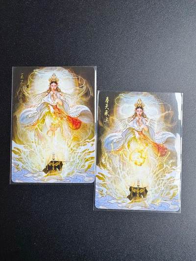 NO.19 好又多金牌大场，新店点关注不迷路！每周一站式配齐，方便凑单！（周6晚8点截拍，卖家送拍0抽成！） - 焱卡 刷子 奉天承运 普卡