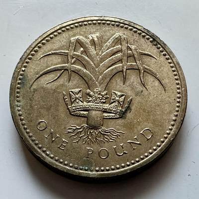 🌹外币初藏🌹🐯2025年第146场  每周二四六晚8️⃣点 接代拍 - 英国1990年一英镑