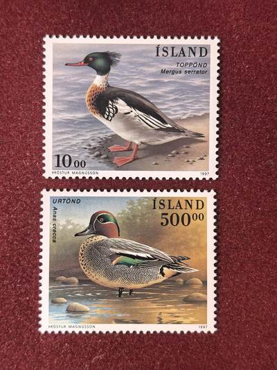 联合阁邮币社™ ——“多国邮票”👍🏻👏🏻👍🏻👏🏻 - 冰岛 动物 全套新