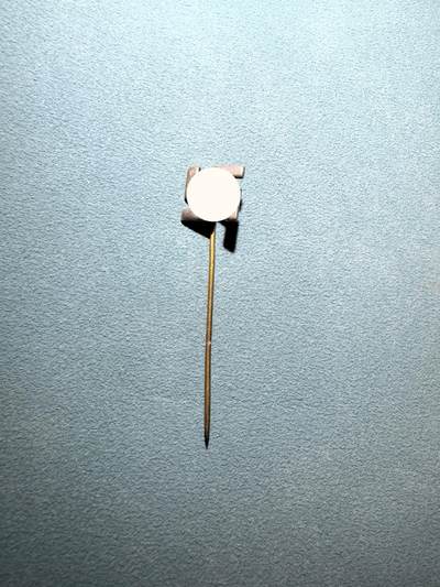 盛世勋华——号角文化勋章邮票专场拍卖第296期 - 德国（1939）NSDAP标志别针