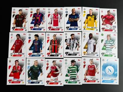 NO.19 好又多金牌大场，新店点关注不迷路！每周一站式配齐，方便凑单！（周6晚8点截拍，卖家送拍0抽成！） - 球星卡 18张