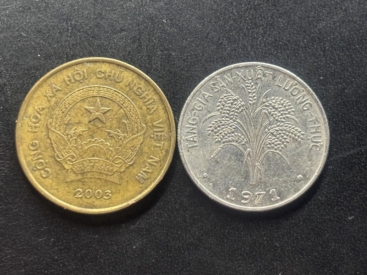 邮泉阁限时拍卖第三十八场 亚洲专场（硬币在国外。请付邮费6元。） 越南2枚