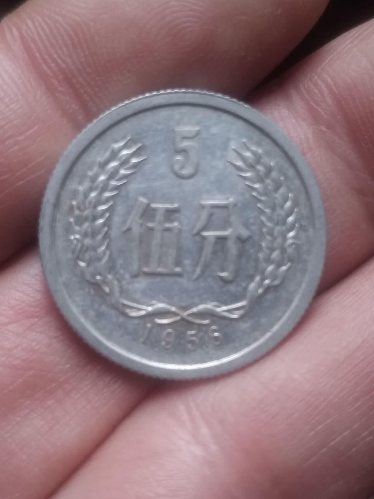 小小小钱币 1956年 五分。