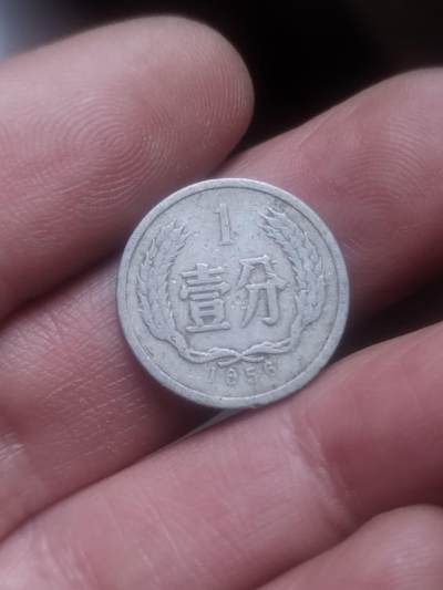 小小小钱币 - 1956年壹分。