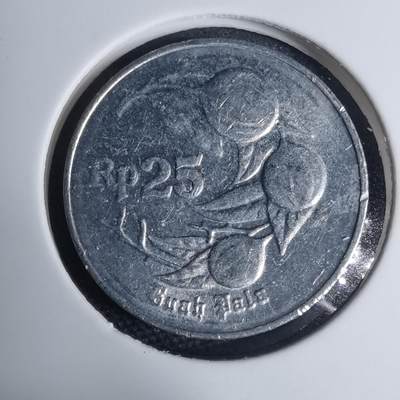 沼泽如烟--第945场 - 印度尼西亚1994年25