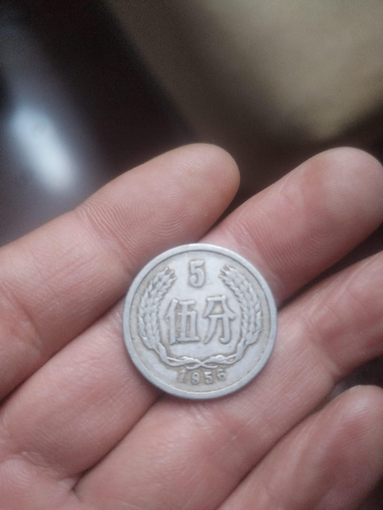 小小小钱币 1956年五分。
