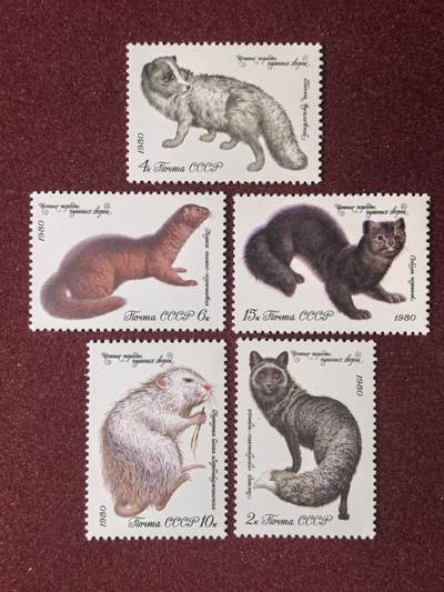 联合阁邮币社™ ——“多国邮票”👍🏻👏🏻👍🏻👏🏻 - 苏联 哺乳类动物 全套