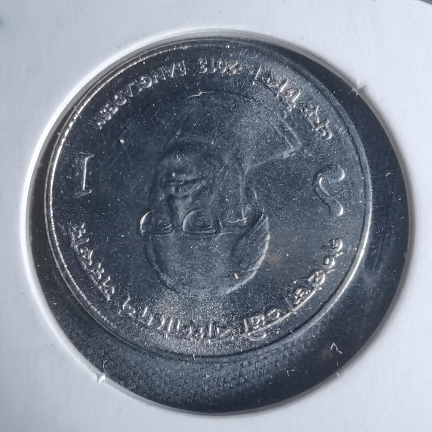 沼泽如烟--第947场 孟加拉