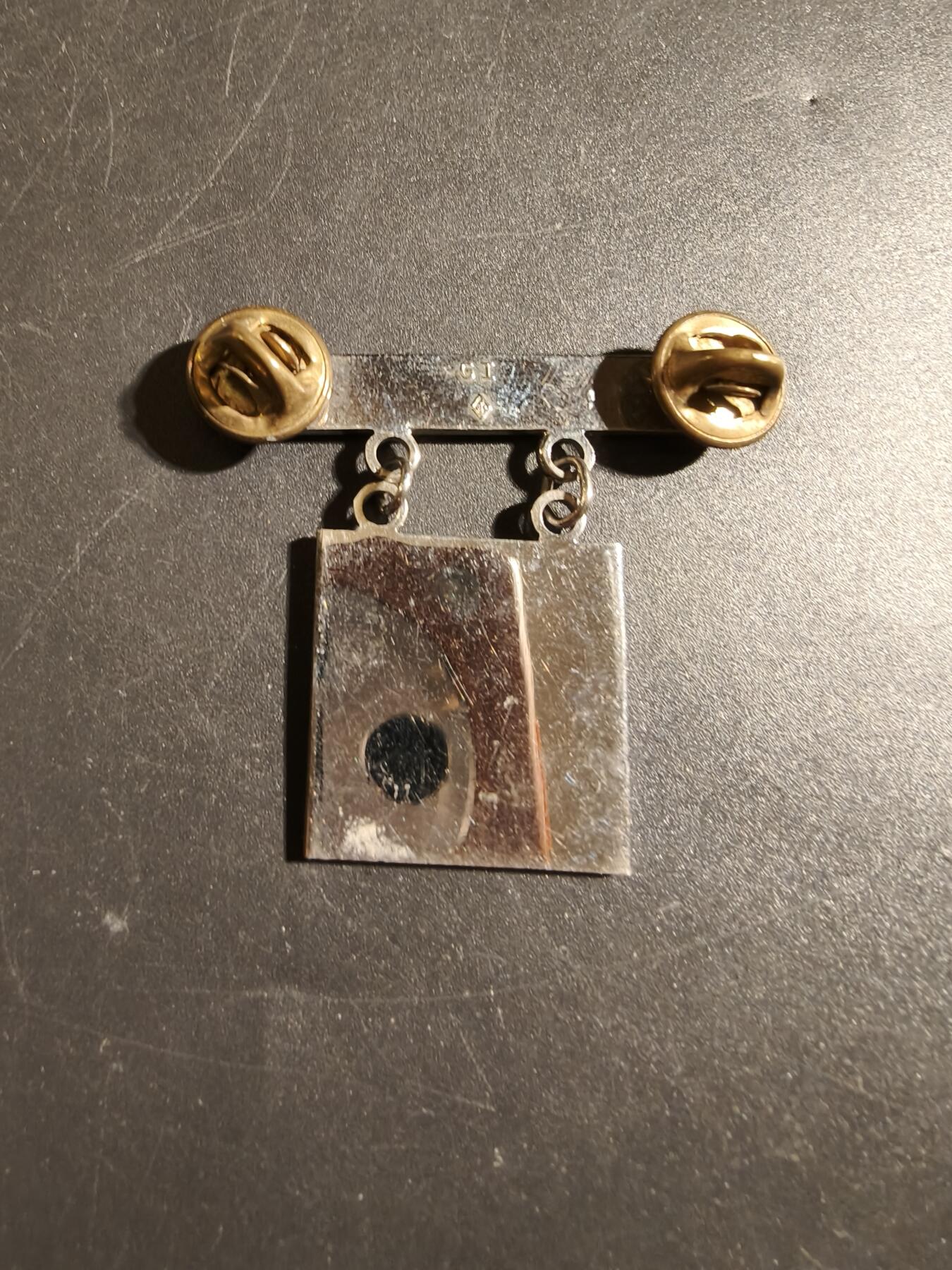 老王徽章第172期 美国海军陆战队神射手技能章    步枪精确射手勋条    带厂标