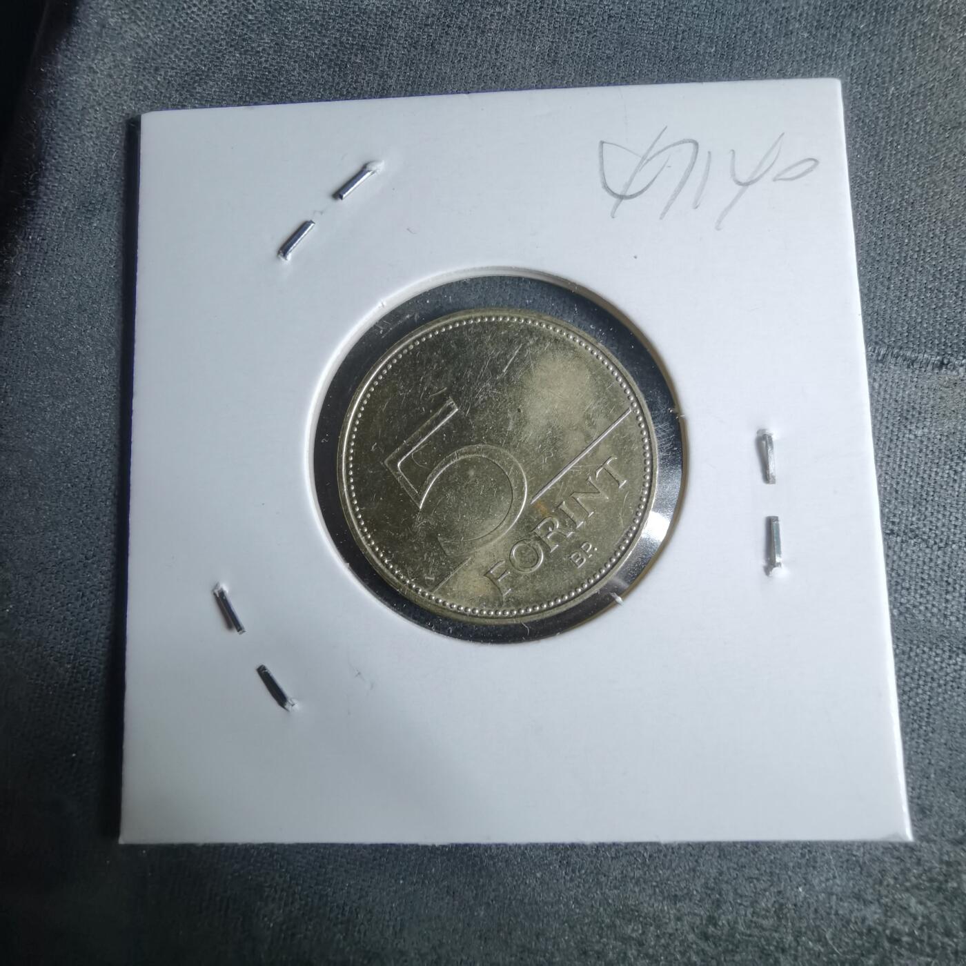 沼泽如烟--第947场