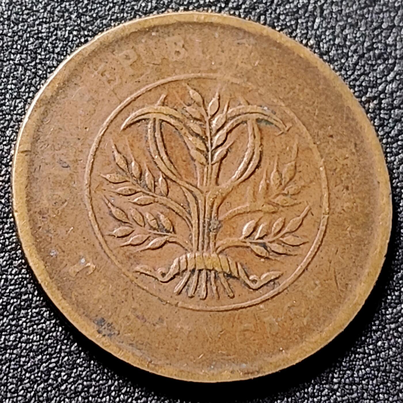 泉币菌-第155场-精品福利场 。