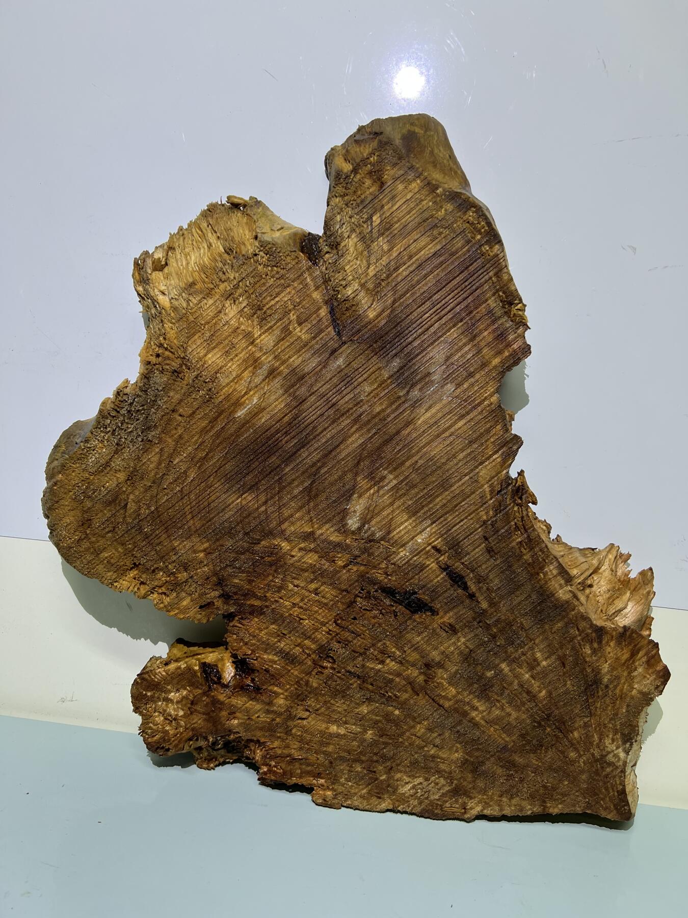 零元拍：香杉木老根榴干泡茶盘 毛坯，未打磨抛光，尺寸约：420/300/厚35MM，满花，药香满鼻，因为没有上漆，干燥天气可能会产生裂纹，属于正常现象