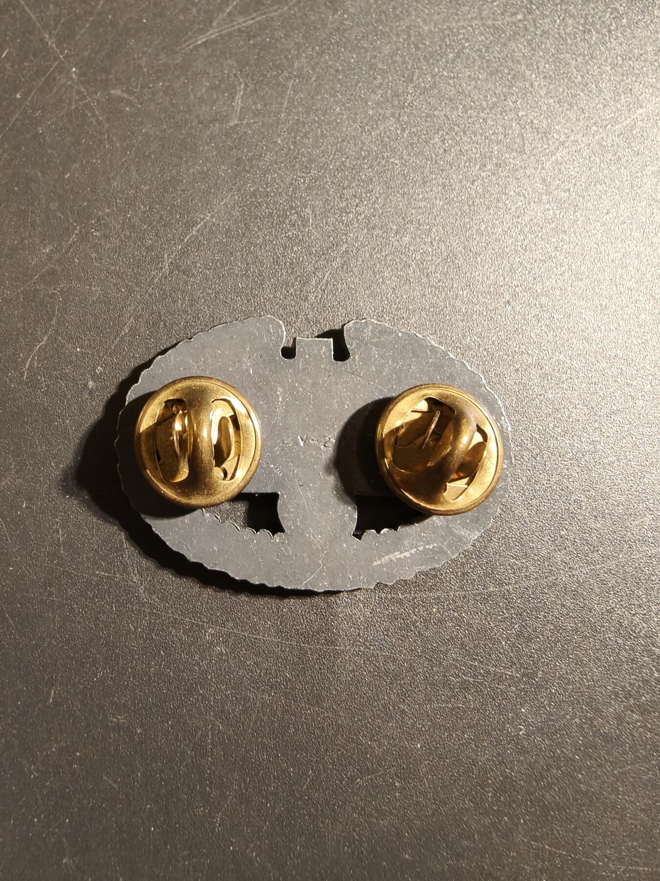 老王徽章第172期 美国陆军战斗军医证章    带厂标