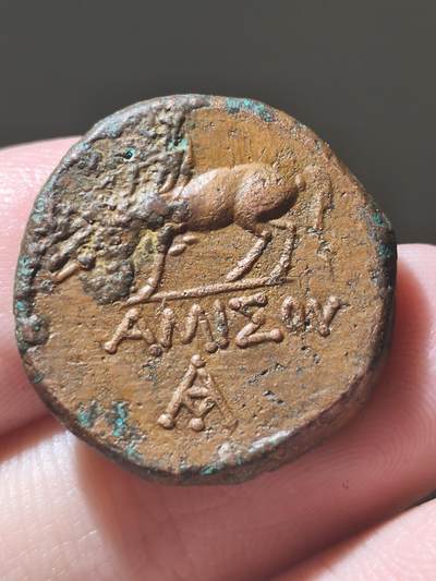 美品！本都王国-米特拉达特斯六世尖帽厚重大铜币13.38g 背面天马帕加索斯（暗示自己是英雄）以及城名阿米索和造币厂标记 非常清晰的名称组合厂标 教科书案例