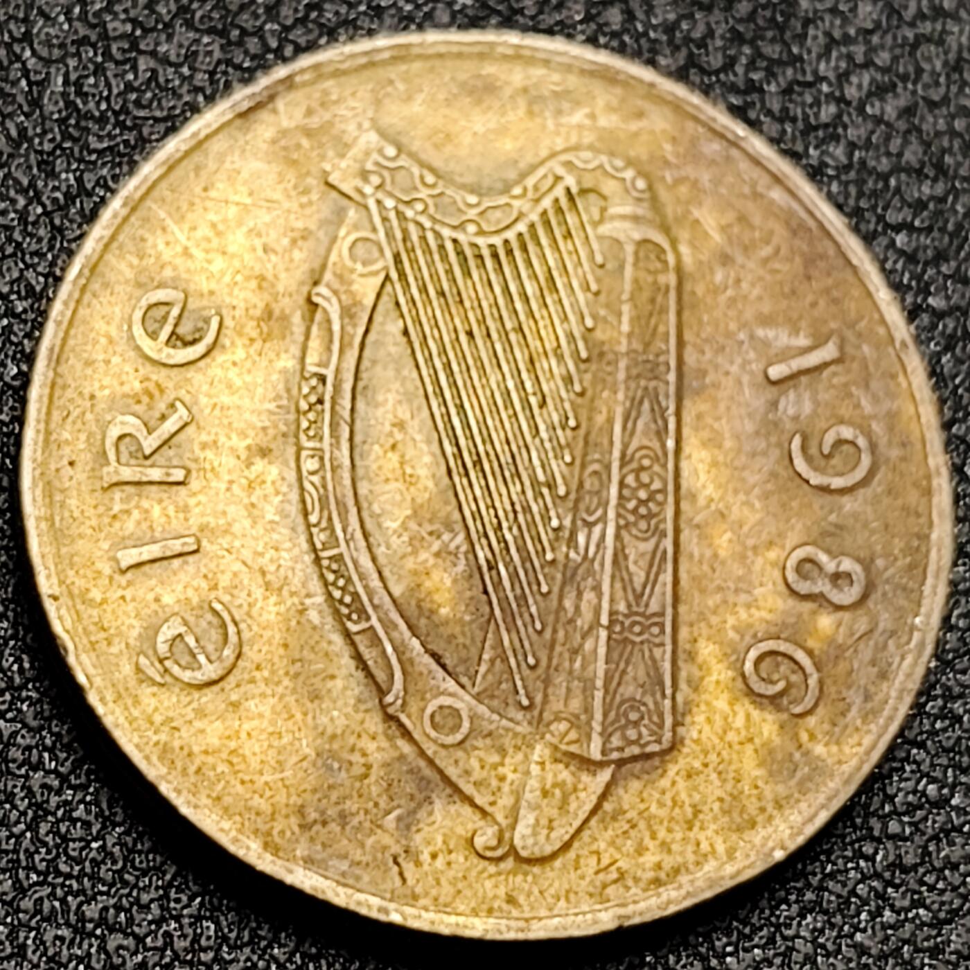 泉币菌-第156场-精品福利场 。