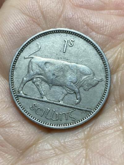 2025年第一百四十三场(总第一百六十九场）外国好品散币场(免佣金) - 爱尔兰🇮🇪1951年1先令(共和国时期第一套第二版)