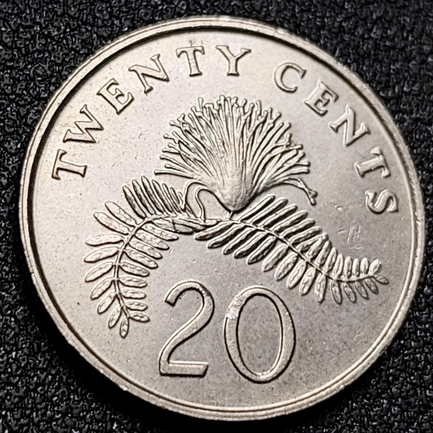 泉币菌-第155场-精品福利场 。