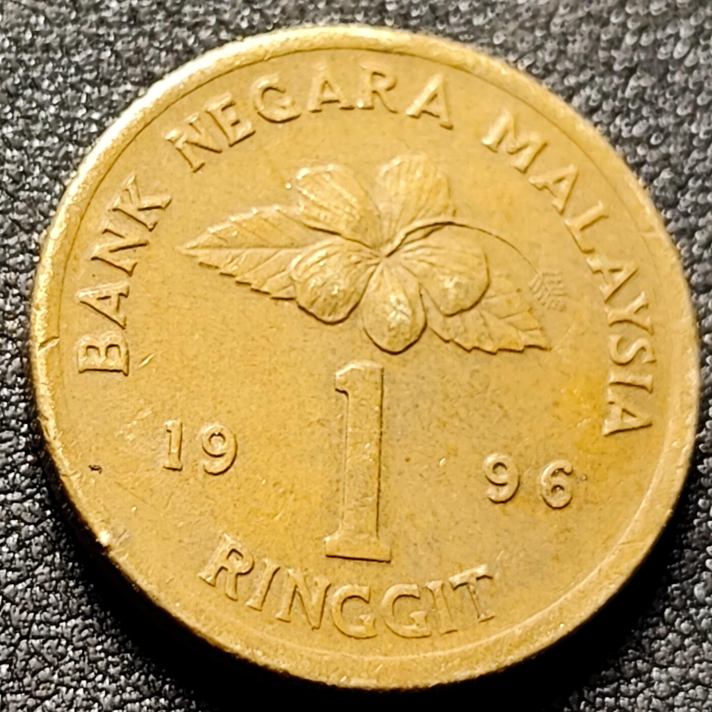 泉币菌-第155场-精品福利场 。